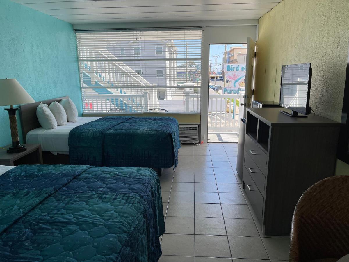 Bird Of Paradise Motel North Wildwood Εξωτερικό φωτογραφία
