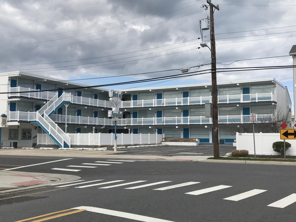 Bird Of Paradise Motel North Wildwood Εξωτερικό φωτογραφία
