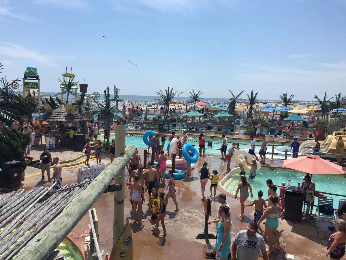 Bird Of Paradise Motel North Wildwood Εξωτερικό φωτογραφία