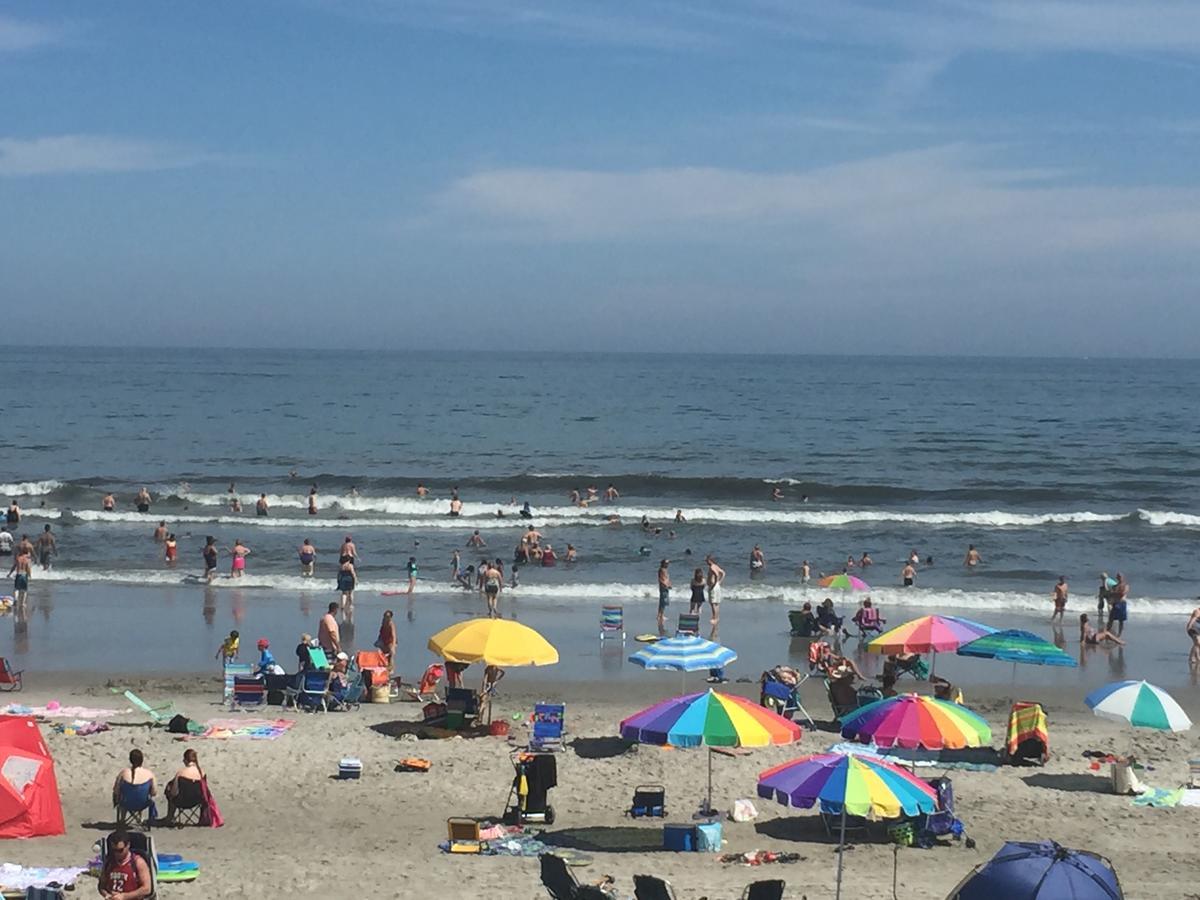 Bird Of Paradise Motel North Wildwood Εξωτερικό φωτογραφία